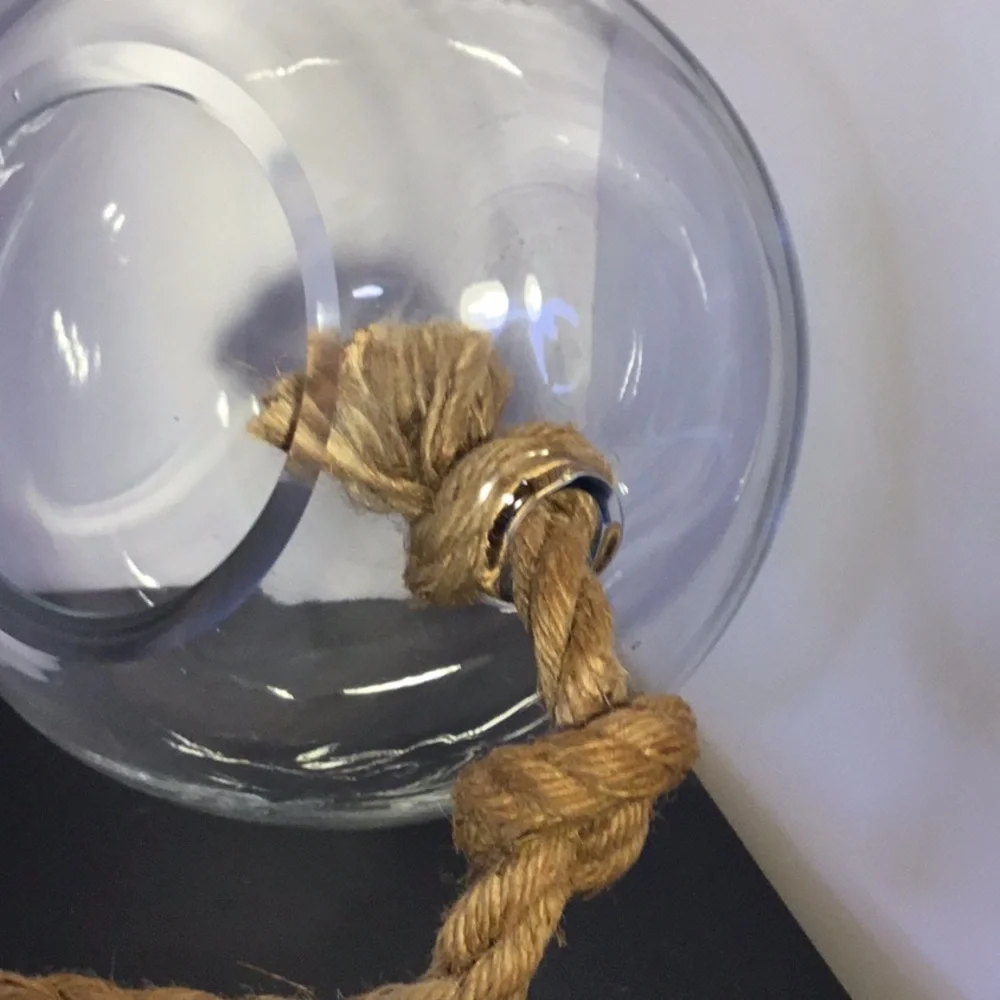 Large Hanging Globe Terrarium With Rope Hanger - Picture 10 of 16